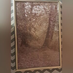 WALL ART - FOREST CREEK SCENES